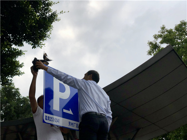 36365线路检测中心(中国)有限公司