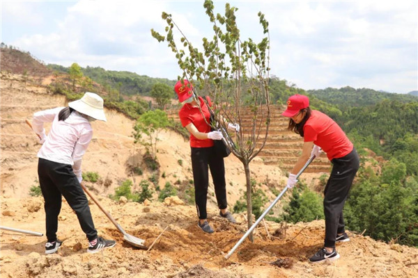 36365线路检测中心(中国)有限公司