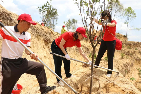 36365线路检测中心(中国)有限公司