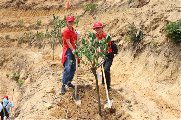 36365线路检测中心(中国)有限公司