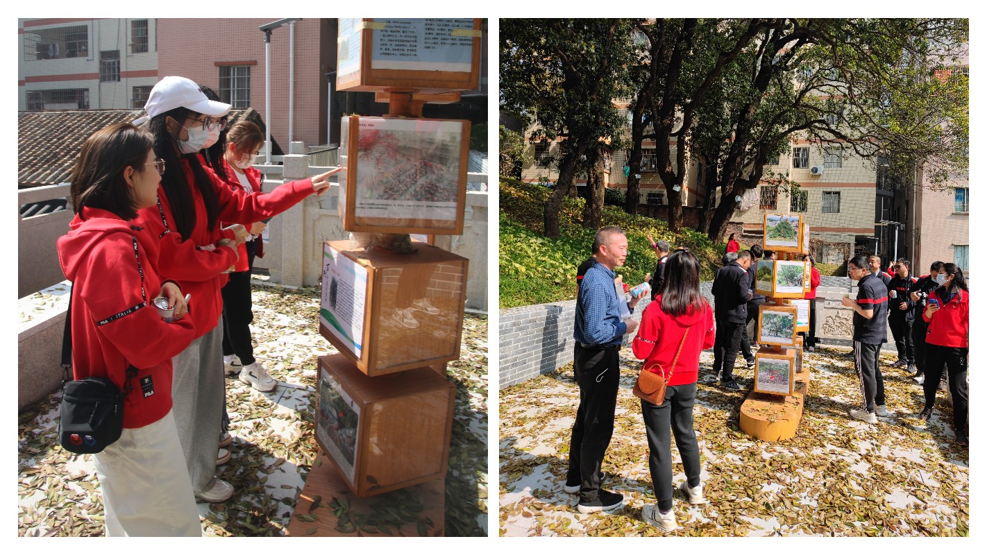 36365线路检测中心(中国)有限公司