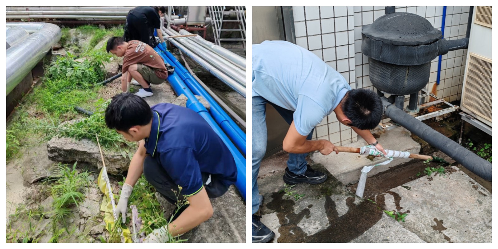 36365线路检测中心(中国)有限公司