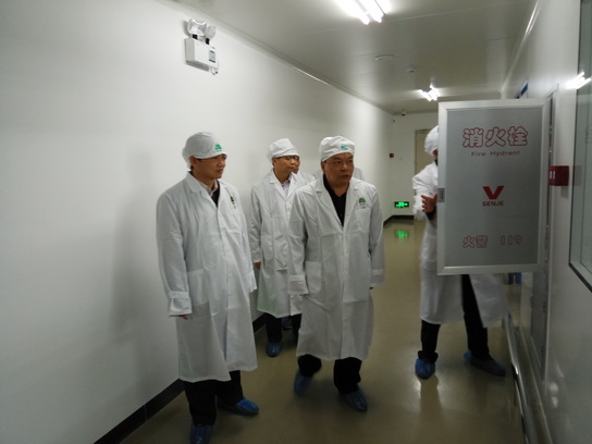 36365线路检测中心(中国)有限公司