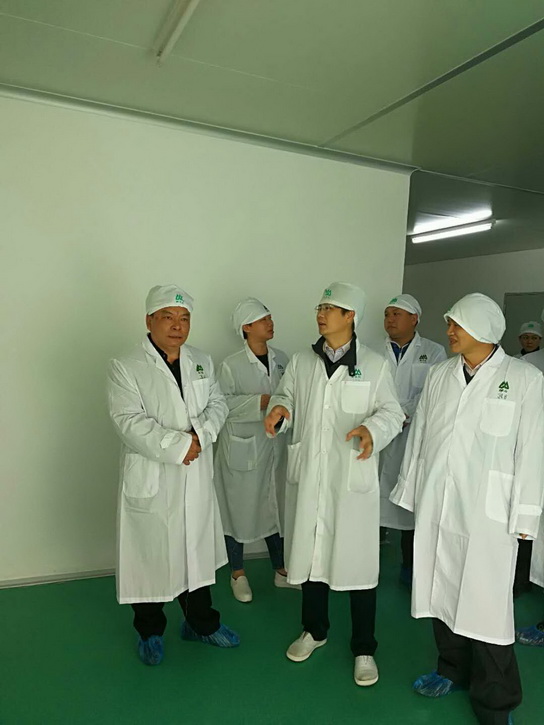 36365线路检测中心(中国)有限公司